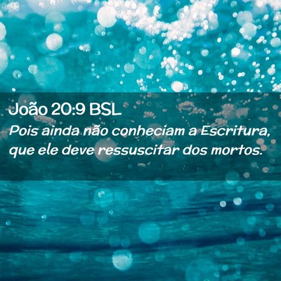 Picture 02 - João 20:9 BSL - Pois ainda não conheciam a Escritura, que ele - Bible Verse Picture