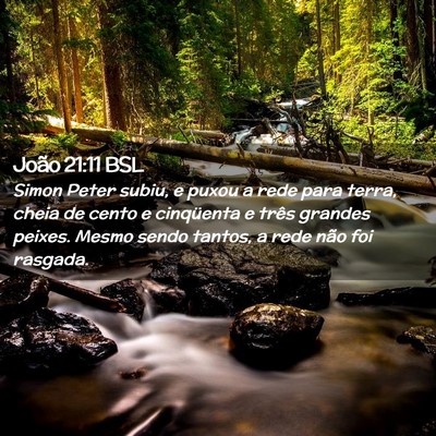 Picture 02 - João 21:11 BSL - Simon Peter subiu, e puxou a rede para terra, - Bible Verse Picture