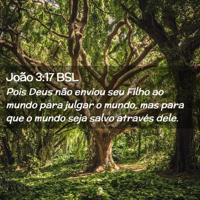 Picture 02 - João 3:17 BSL - Pois Deus não enviou seu Filho ao mundo para - Bible Verse Picture
