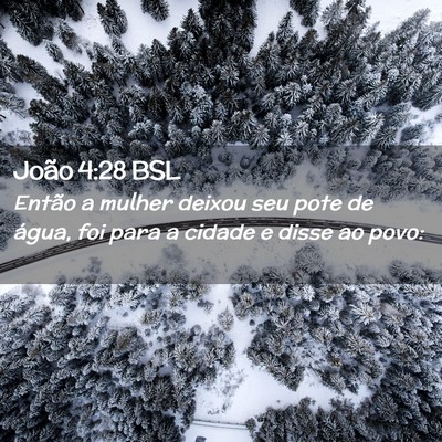 Picture 02 - João 4:28 BSL - Então a mulher deixou seu pote de água, foi - Bible Verse Picture