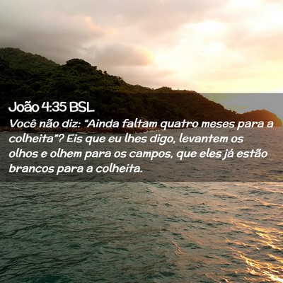 Picture 02 - João 4:35 BSL - Você não diz: “Ainda faltam quatro meses para - Bible Verse Picture