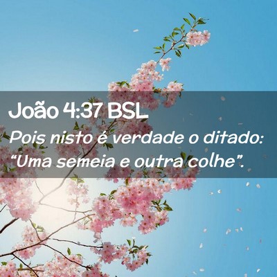 Picture 02 - João 4:37 BSL - Pois nisto é verdade o ditado: “Uma semeia e - Bible Verse Picture