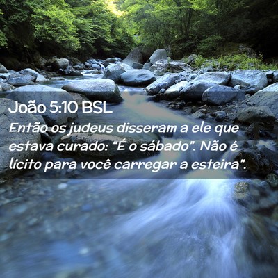 Picture 02 - João 5:10 BSL - Então os judeus disseram a ele que estava - Bible Verse Picture