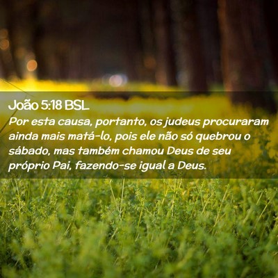 Picture 02 - João 5:18 BSL - Por esta causa, portanto, os judeus procuraram - Bible Verse Picture