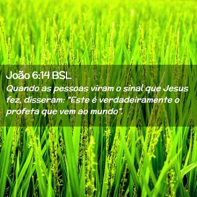 Picture 02 - João 6:14 BSL - Quando as pessoas viram o sinal que Jesus fez, - Bible Verse Picture