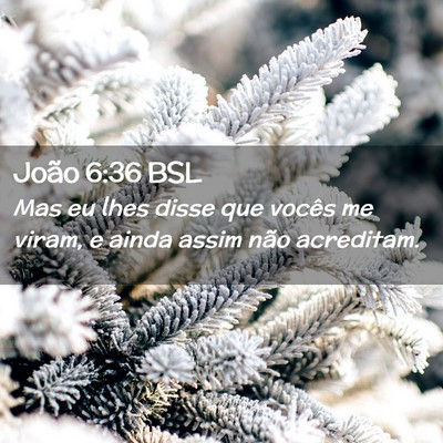 Picture 02 - João 6:36 BSL - Mas eu lhes disse que vocês me viram, e ainda - Bible Verse Picture