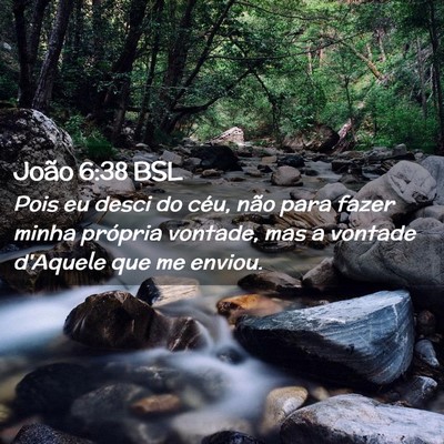 Picture 02 - João 6:38 BSL - Pois eu desci do céu, não para fazer minha - Bible Verse Picture