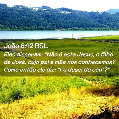 Picture 02 - João 6:42 BSL - Eles disseram: “Não é este Jesus, o filho de - Bible Verse Picture