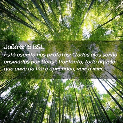 Picture 02 - João 6:45 BSL - Está escrito nos profetas: “Todos eles serão - Bible Verse Picture