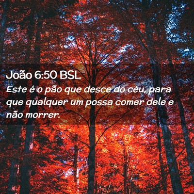 Picture 02 - João 6:50 BSL - Este é o pão que desce do céu, para que - Bible Verse Picture