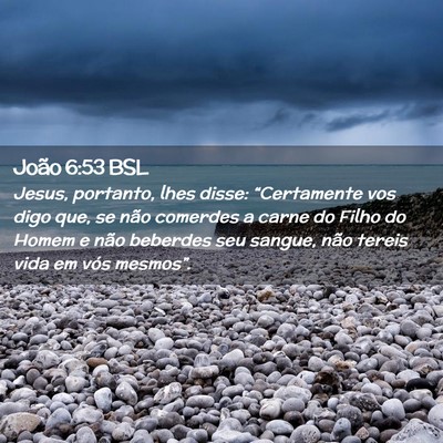 Picture 02 - João 6:53 BSL - Jesus, portanto, lhes disse: “Certamente vos - Bible Verse Picture