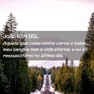 Picture 02 - João 6:54 BSL - Aquele que come minha carne e bebe meu sangue tem - Bible Verse Picture