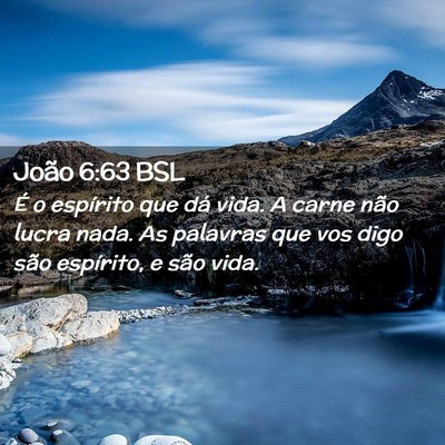 Picture 02 - João 6:63 BSL - É o espírito que dá vida. A carne não lucra - Bible Verse Picture