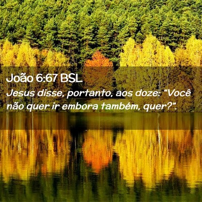 Picture 02 - João 6:67 BSL - Jesus disse, portanto, aos doze: “Você não - Bible Verse Picture