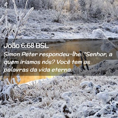 Picture 02 - João 6:68 BSL - Simon Peter respondeu-lhe: “Senhor, a quem - Bible Verse Picture