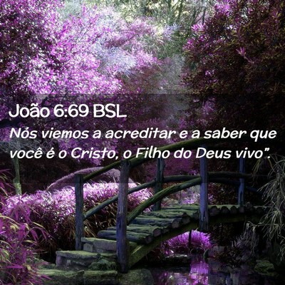 Picture 02 - João 6:69 BSL - Nós viemos a acreditar e a saber que você é o - Bible Verse Picture