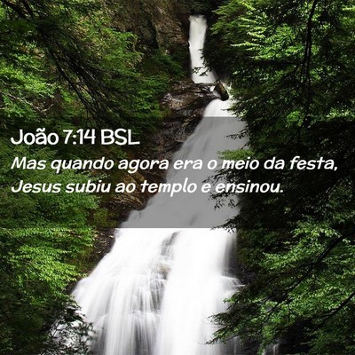 Picture 02 - João 7:14 BSL - Mas quando agora era o meio da festa, Jesus subiu - Bible Verse Picture