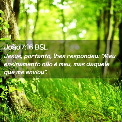 Picture 02 - João 7:16 BSL - Jesus, portanto, lhes respondeu: “Meu - Bible Verse Picture