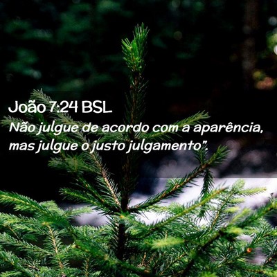 Picture 02 - João 7:24 BSL - Não julgue de acordo com a aparência, mas - Bible Verse Picture