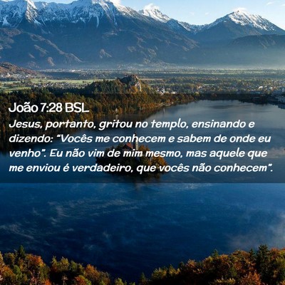 Picture 02 - João 7:28 BSL - Jesus, portanto, gritou no templo, ensinando e - Bible Verse Picture