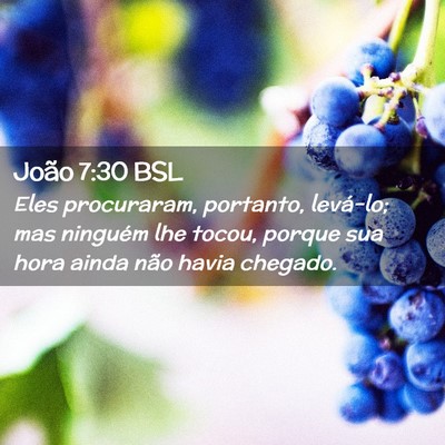 Picture 02 - João 7:30 BSL - Eles procuraram, portanto, levá-lo; mas ninguém - Bible Verse Picture