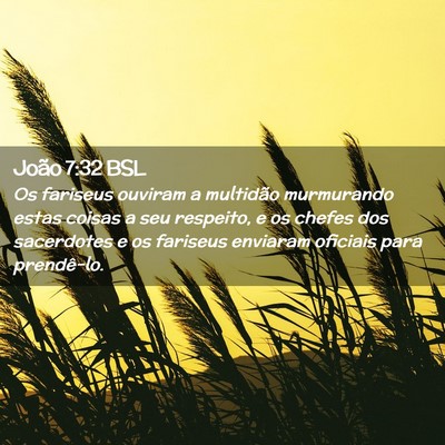 Picture 02 - João 7:32 BSL - Os fariseus ouviram a multidão murmurando estas - Bible Verse Picture