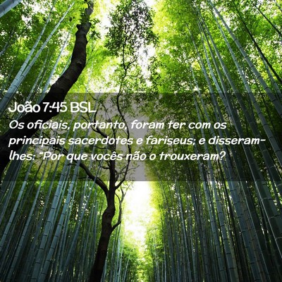 Picture 02 - João 7:45 BSL - Os oficiais, portanto, foram ter com os - Bible Verse Picture