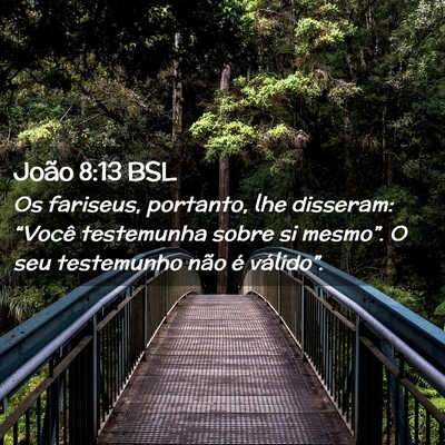 Picture 02 - João 8:13 BSL - Os fariseus, portanto, lhe disseram: “Você - Bible Verse Picture