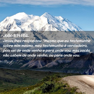 Picture 02 - João 8:14 BSL - Jesus lhes respondeu: “Mesmo que eu testemunhe - Bible Verse Picture