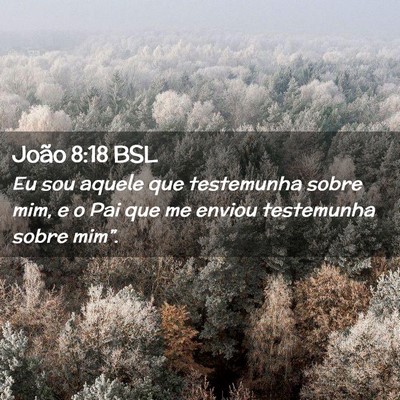 Picture 02 - João 8:18 BSL - Eu sou aquele que testemunha sobre mim, e o Pai - Bible Verse Picture