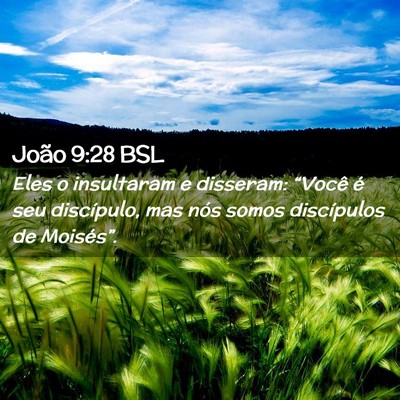 Picture 02 - João 9:28 BSL - Eles o insultaram e disseram: “Você é seu - Bible Verse Picture