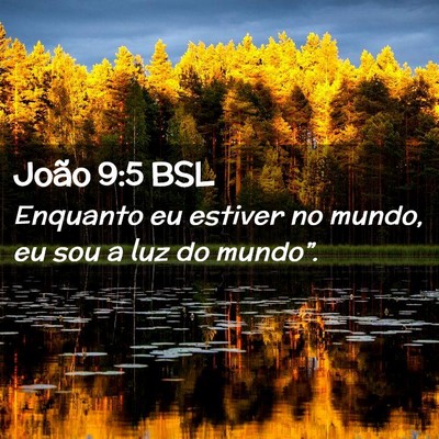 Picture 02 - João 9:5 BSL - Enquanto eu estiver no mundo, eu sou a luz do - Bible Verse Picture