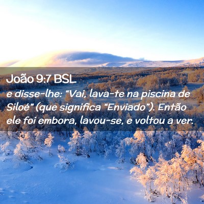 Picture 02 - João 9:7 BSL - e disse-lhe: “Vai, lava-te na piscina de - Bible Verse Picture