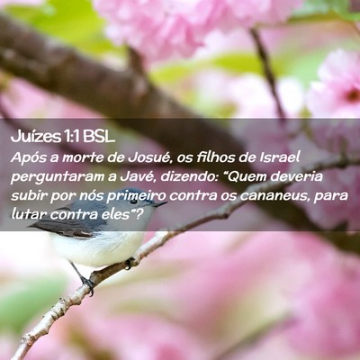 Picture 02 - Juízes 1:1 BSL - Após a morte de Josué, os filhos de Israel - Bible Verse Picture