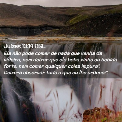 Picture 02 - Juízes 13:14 BSL - Ela não pode comer de nada que venha da videira, - Bible Verse Picture