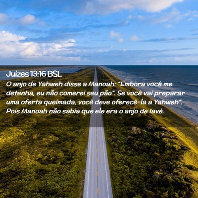 Picture 02 - Juízes 13:16 BSL - O anjo de Yahweh disse a Manoah: “Embora você - Bible Verse Picture