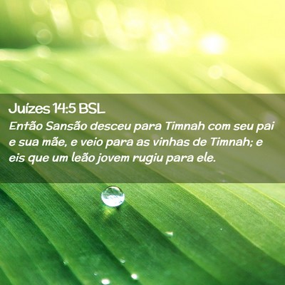 Picture 02 - Juízes 14:5 BSL - Então Sansão desceu para Timnah com seu pai e - Bible Verse Picture