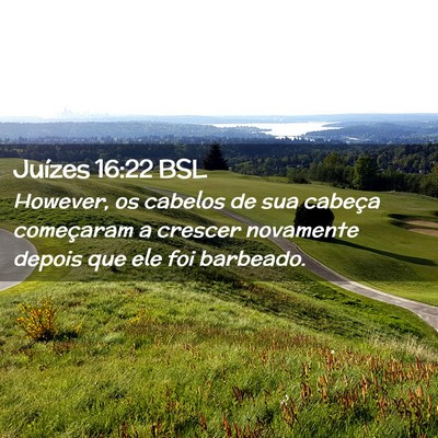 Picture 02 - Juízes 16:22 BSL - However, os cabelos de sua cabeça começaram a - Bible Verse Picture