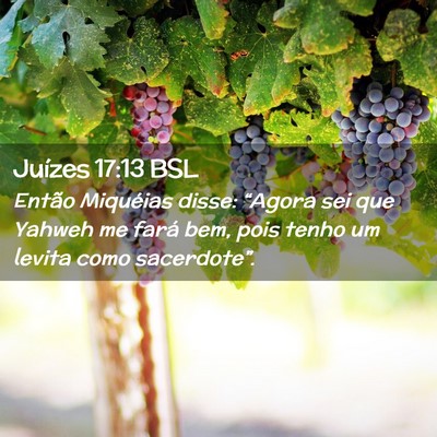 Picture 02 - Juízes 17:13 BSL - Então Miquéias disse: “Agora sei que Yahweh - Bible Verse Picture