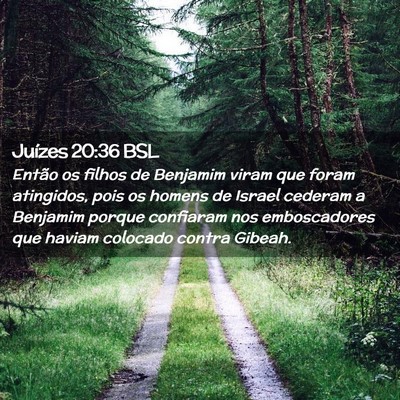 Picture 02 - Juízes 20:36 BSL - Então os filhos de Benjamim viram que foram - Bible Verse Picture