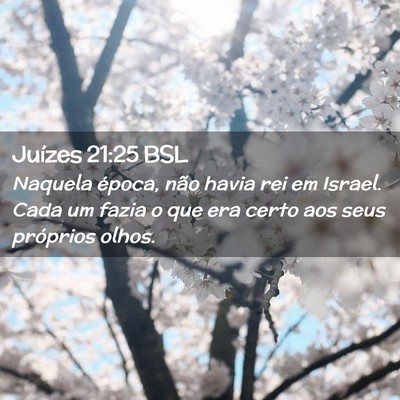 Picture 02 - Juízes 21:25 BSL - Naquela época, não havia rei em Israel. Cada um - Bible Verse Picture