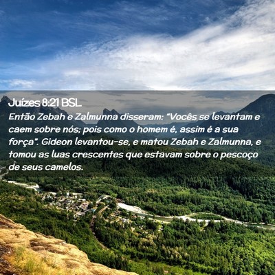Picture 02 - Juízes 8:21 BSL - Então Zebah e Zalmunna disseram: “Vocês se - Bible Verse Picture