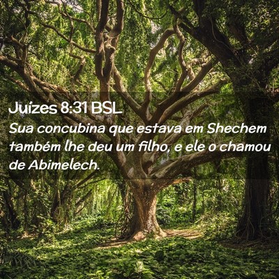 Picture 02 - Juízes 8:31 BSL - Sua concubina que estava em Shechem também lhe - Bible Verse Picture