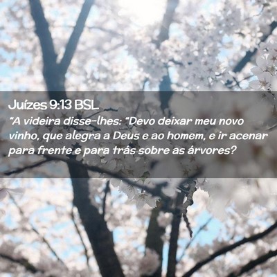 Picture 02 - Juízes 9:13 BSL - “A videira disse-lhes: “Devo deixar meu novo - Bible Verse Picture