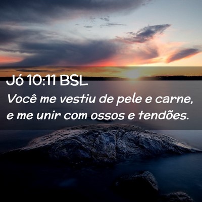 Picture 02 - Jó 10:11 BSL - Você me vestiu de pele e carne, e me unir com - Bible Verse Picture