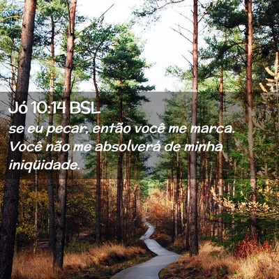 Picture 02 - Jó 10:14 BSL - se eu pecar, então você me marca. Você não me - Bible Verse Picture