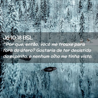 Picture 02 - Jó 10:18 BSL - “'Por que, então, você me trouxe para fora do - Bible Verse Picture