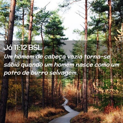 Picture 02 - Jó 11:12 BSL - Um homem de cabeça vazia torna-se sábio quando - Bible Verse Picture
