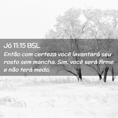 Picture 02 - Jó 11:15 BSL - Então com certeza você levantará seu rosto sem - Bible Verse Picture