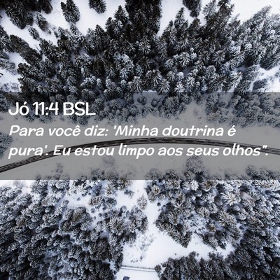 Picture 02 - Jó 11:4 BSL - Para você diz: 'Minha doutrina é pura'. Eu - Bible Verse Picture